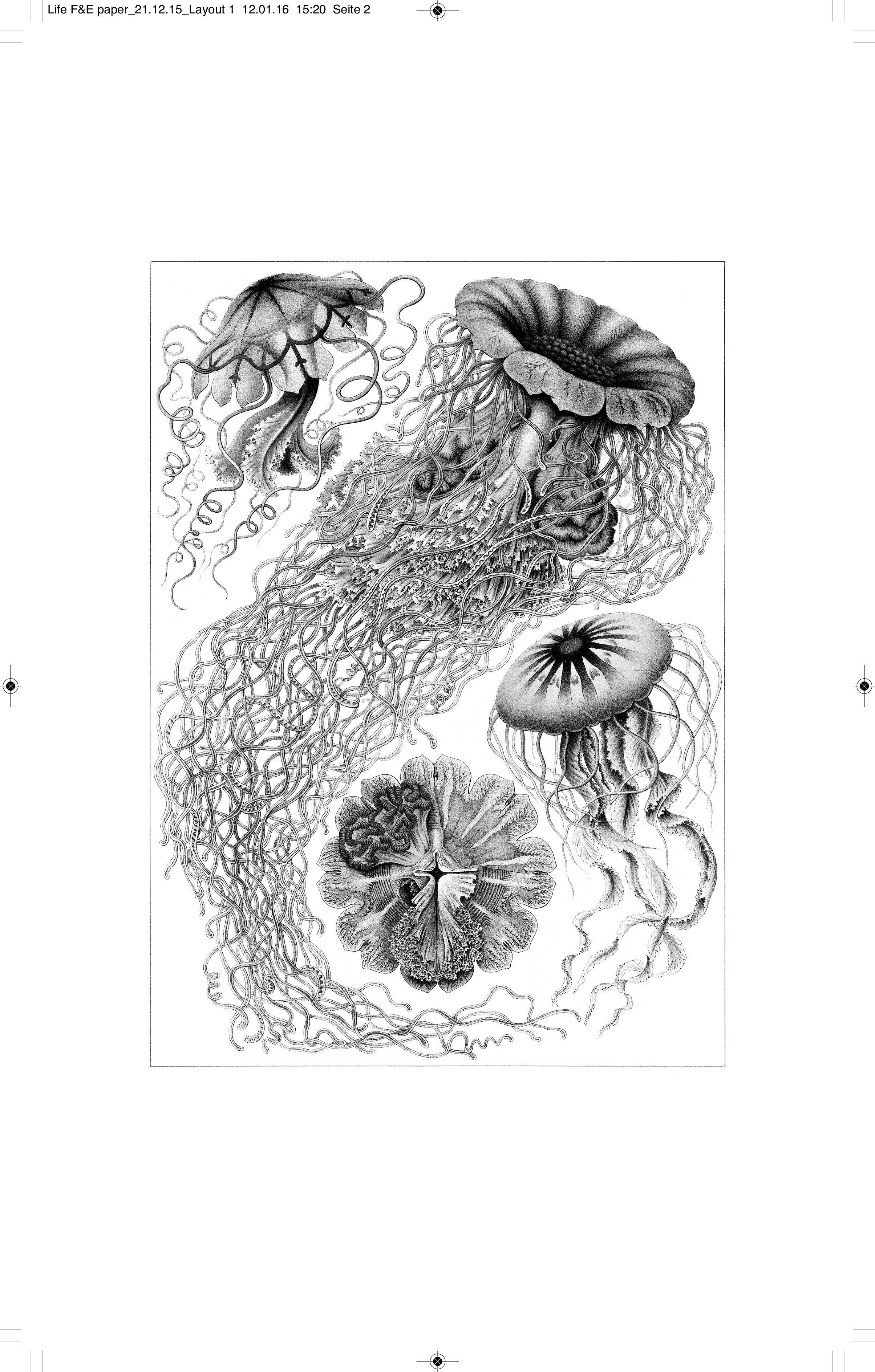 Layout 1