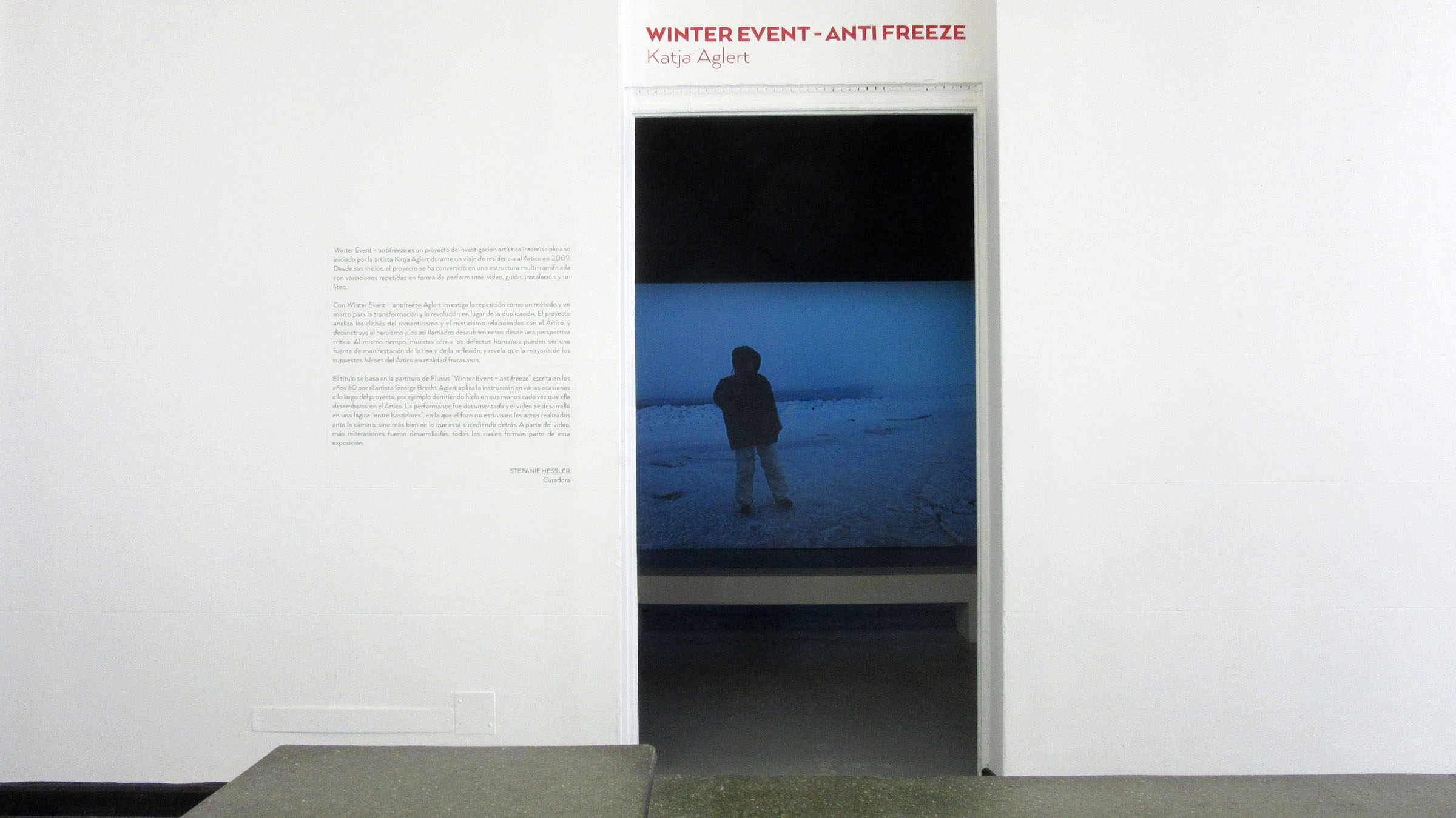 Winter Event - antifreeze at the Museum of Contemporary Art, Santiago de Chile